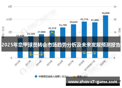2025年意甲球员转会市场趋势分析及未来发展预测报告