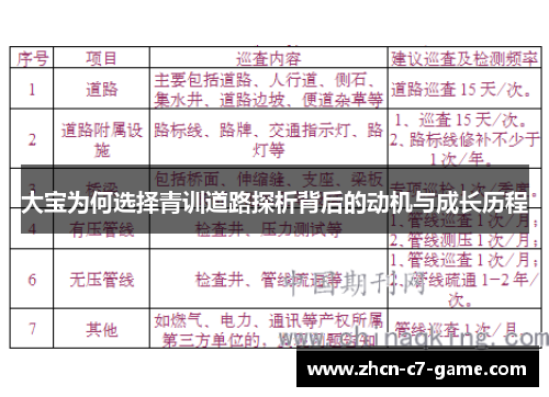 大宝为何选择青训道路探析背后的动机与成长历程