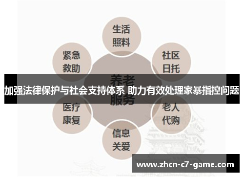 加强法律保护与社会支持体系 助力有效处理家暴指控问题