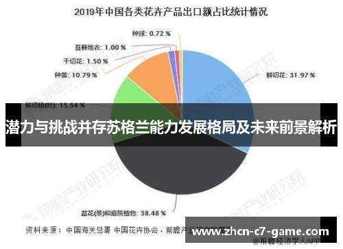 潜力与挑战并存苏格兰能力发展格局及未来前景解析